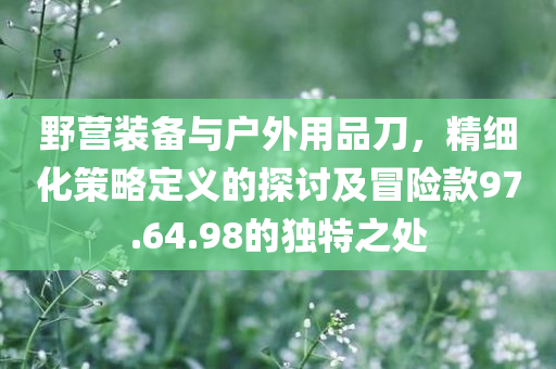 野营装备与户外用品刀，精细化策略定义的探讨及冒险款97.64.98的独特之处