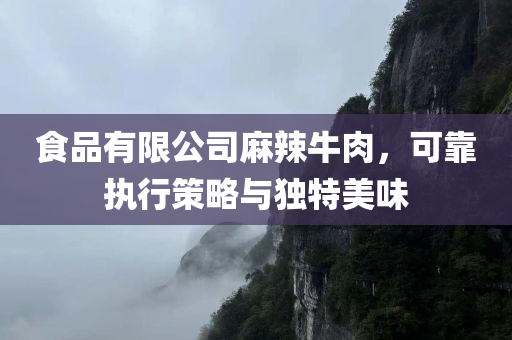 食品有限公司麻辣牛肉，可靠执行策略与独特美味