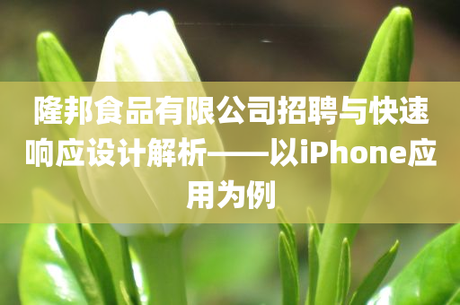 隆邦食品有限公司招聘与快速响应设计解析——以iPhone应用为例