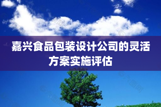 嘉兴食品包装设计公司的灵活方案实施评估