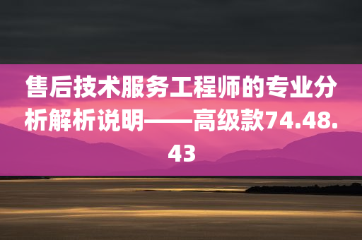 售后技术服务工程师的专业分析解析说明——高级款74.48.43