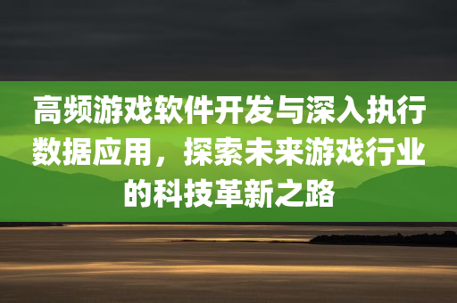 高频游戏软件开发与深入执行数据应用，探索未来游戏行业的科技革新之路