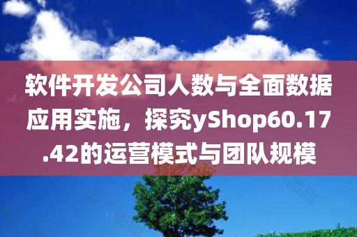 软件开发公司人数与全面数据应用实施，探究yShop60.17.42的运营模式与团队规模