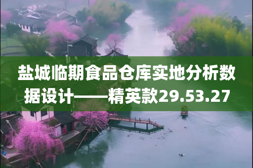 盐城临期食品仓库实地分析数据设计——精英款29.53.27