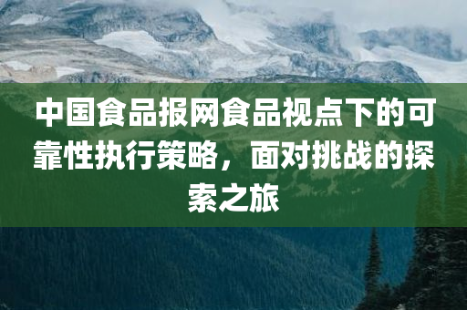 中国食品报网食品视点下的可靠性执行策略，面对挑战的探索之旅