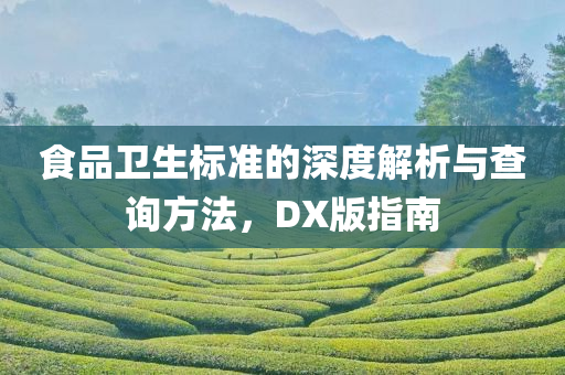 食品卫生标准的深度解析与查询方法，DX版指南