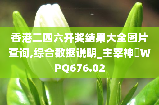 香港二四六开奖结果大全图片查询,综合数据说明_主宰神衹WPQ676.02