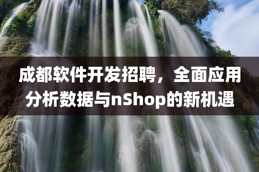 成都软件开发招聘，全面应用分析数据与nShop的新机遇