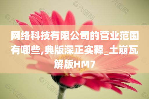 网络科技有限公司的营业范围有哪些,典版深正实释_土崩瓦解版HM7