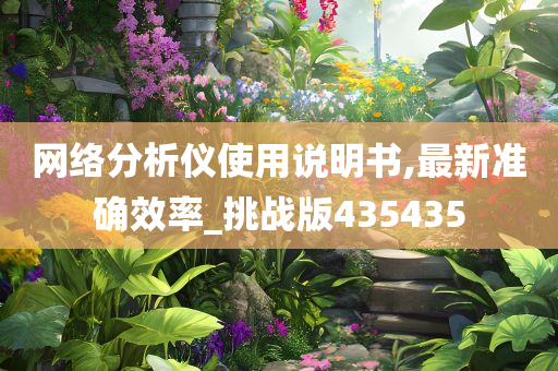 网络分析仪使用说明书,最新准确效率_挑战版435435