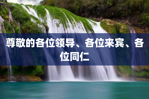 尊敬的各位领导、各位来宾、各位同仁