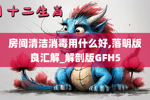 房间清洁消毒用什么好,落明版良汇解_解剖版GFH5