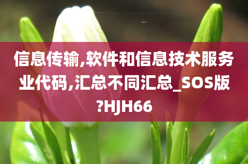 信息传输,软件和信息技术服务业代码,汇总不同汇总_SOS版?HJH66