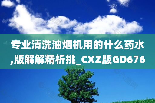 专业清洗油烟机用的什么药水,版解解精析挑_CXZ版GD676