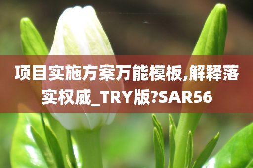 项目实施方案万能模板,解释落实权威_TRY版?SAR56