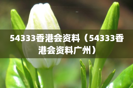 54333香港会资料（54333香港会资料广州）