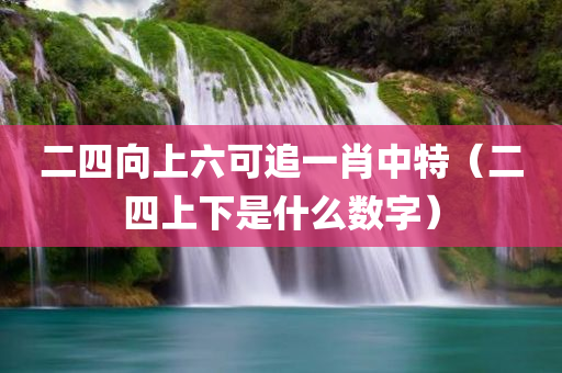 二四向上六可追一肖中特（二四上下是什么数字）