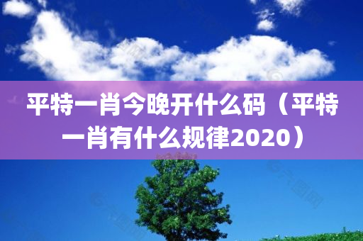 平特一肖今晚开什么码（平特一肖有什么规律2020）