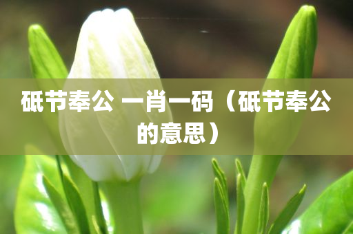 砥节奉公 一肖一码（砥节奉公的意思）