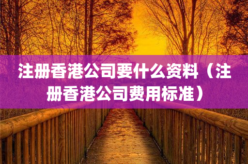 注册香港公司要什么资料（注册香港公司费用标准）