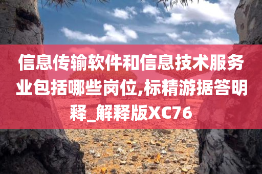 信息传输软件和信息技术服务业包括哪些岗位,标精游据答明释_解释版XC76