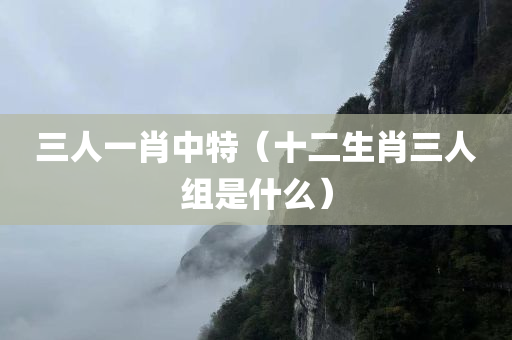 三人一肖中特（十二生肖三人组是什么）