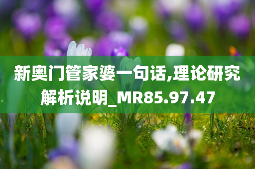 新奥门管家婆一句话,理论研究解析说明_MR85.97.47