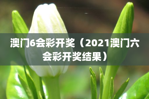 澳门6会彩开奖（2021澳门六会彩开奖结果）