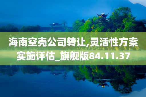 海南空壳公司转让,灵活性方案实施评估_旗舰版84.11.37