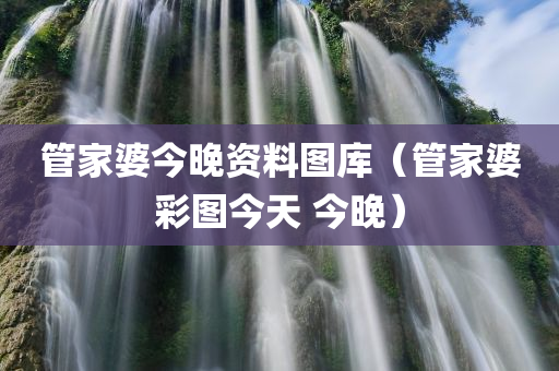 管家婆今晚资料图库（管家婆彩图今天 今晚）