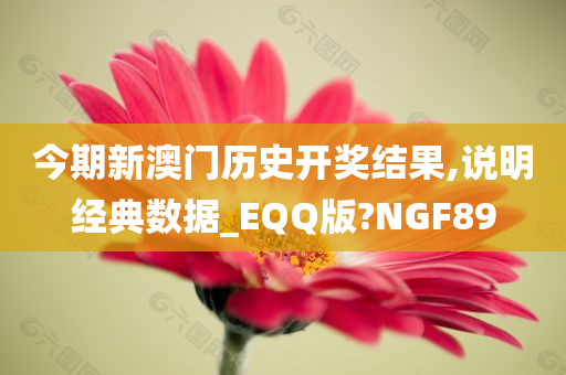 今期新澳门历史开奖结果,说明经典数据_EQQ版?NGF89