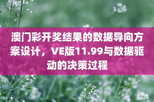 澳门彩开奖结果的数据导向方案设计，VE版11.99与数据驱动的决策过程