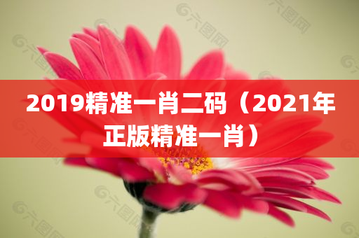 2019精准一肖二码（2021年正版精准一肖）