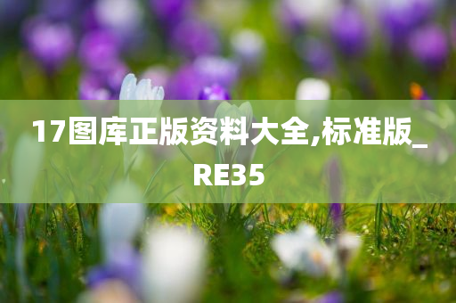 17图库正版资料大全,标准版_RE35