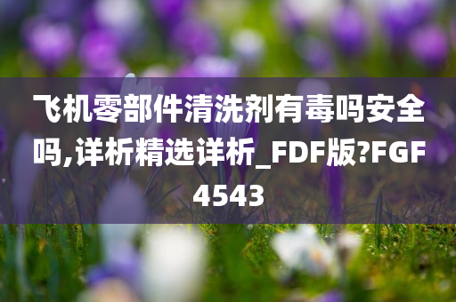 飞机零部件清洗剂有毒吗安全吗,详析精选详析_FDF版?FGF4543