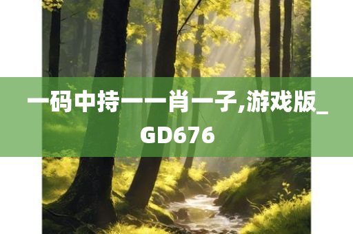 一码中持一一肖一子,游戏版_GD676