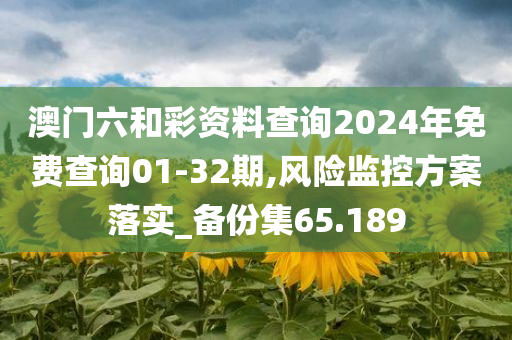 澳门六和彩资料查询2024年免费查询01-32期,风险监控方案落实_备份集65.189