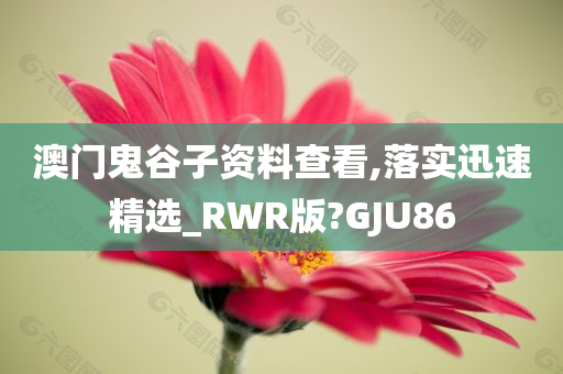 澳门鬼谷子资料查看,落实迅速精选_RWR版?GJU86