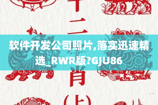 软件开发公司照片,落实迅速精选_RWR版?GJU86