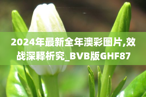 2024年最新全年澳彩图片,效战深释析究_BVB版GHF87