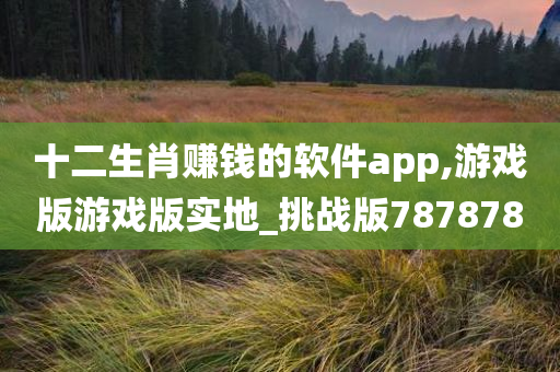 十二生肖赚钱的软件app,游戏版游戏版实地_挑战版787878