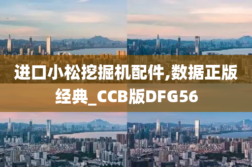 进口小松挖掘机配件,数据正版经典_CCB版DFG56