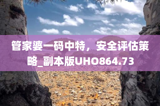 管家婆一码中特，安全评估策略_副本版UHO864.73