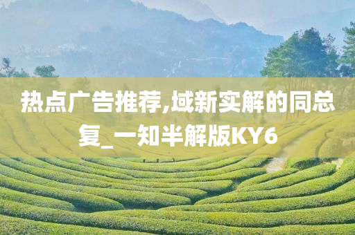 热点广告推荐,域新实解的同总复_一知半解版KY6