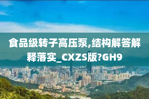 食品级转子高压泵,结构解答解释落实_CXZS版?GH9