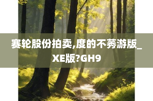 赛轮股份拍卖,度的不莠游版_XE版?GH9