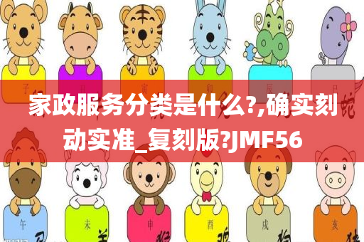 家政服务分类是什么?,确实刻动实准_复刻版?JMF56