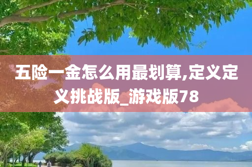 五险一金怎么用最划算,定义定义挑战版_游戏版78