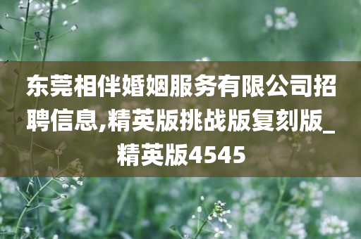 东莞相伴婚姻服务有限公司招聘信息,精英版挑战版复刻版_精英版4545