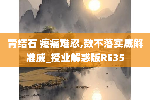 肾结石 疼痛难忍,数不落实威解准威_授业解惑版RE35